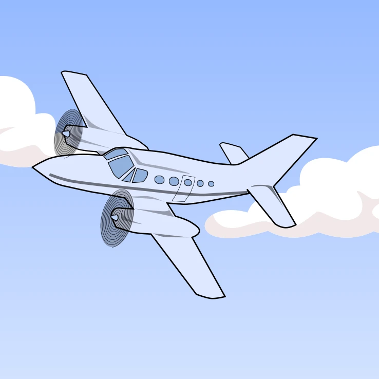 option brevet initiation aeronautique lycee la compassion marmande